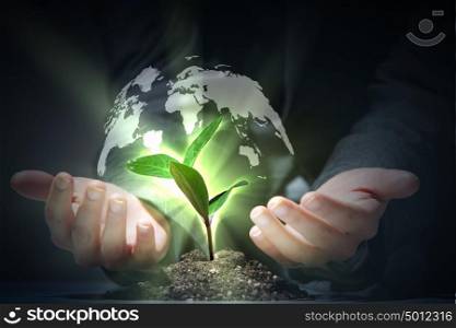 green plant on earth. hands, the young sprout and our planet Earth
