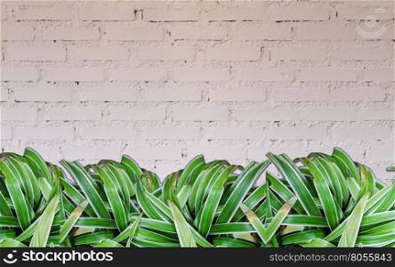 Green plant with white brick wall decorated in coffee shop
