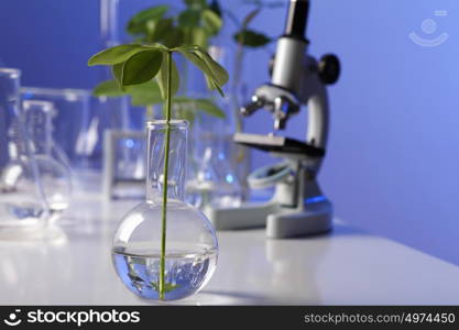 Green plants and scientific equipment in biology laborotary