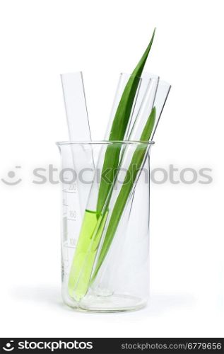 Green plants in laboratory equipment on white background