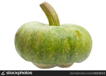 Green pumpkin isolated on white background. Pumpkin is ecological and natural, grew in rural garden.
