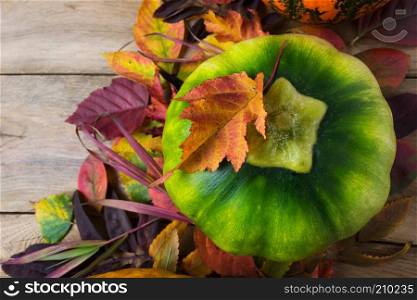 Green pumpkin with colorful fall leaves, top view. Thanksgiving rustic background