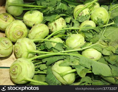 green radish in supermarket