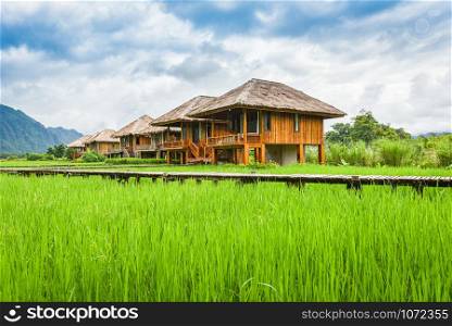 Green rice field landscape with houses countryside asia beautiful mountain and sky background