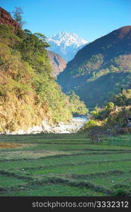 Green rice fields landscape in Nepal hills.