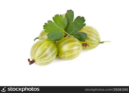 green ripe gooseberries isolated on a white background