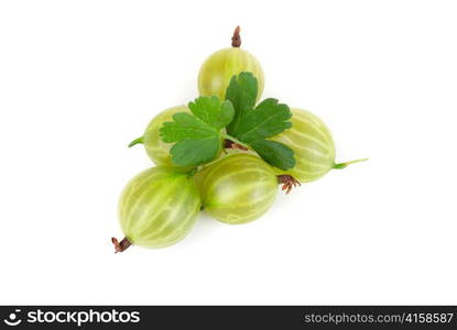 green ripe gooseberries isolated on a white background