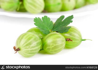 green ripe gooseberries isolated on a white background