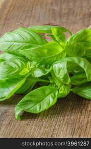 Green ripe organic basil on wooden background