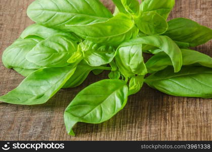 Green ripe organic basil on wooden background