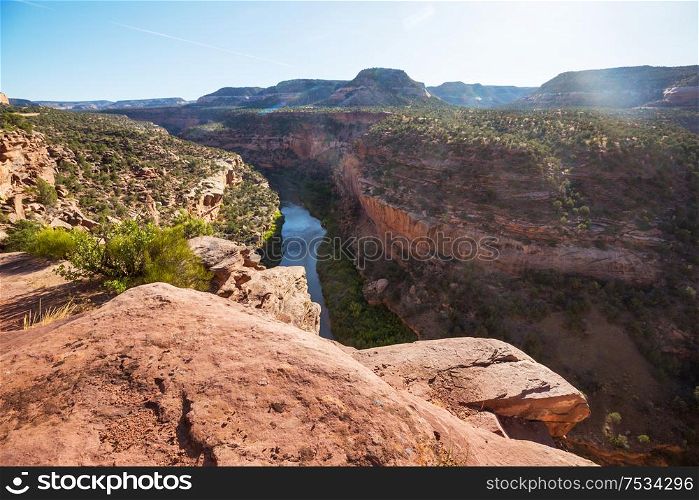 Green river in Colorado, USA