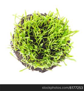 Green round lawn with fresh plants isolated on white background