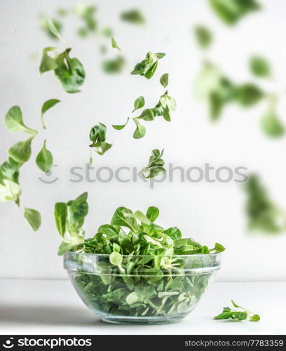 Green salad in glass bowl and flying lettuce leaves at white background. Healthy cooking preparation. Levitation food concept. Front view.