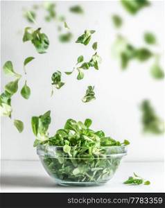 Green salad in glass bowl and flying lettuce leaves at white background. Healthy cooking preparation. Levitation food concept. Front view.