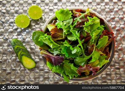 Green salad Mediterranean green and red lettucce spinach and cucumber on modern stainless steel