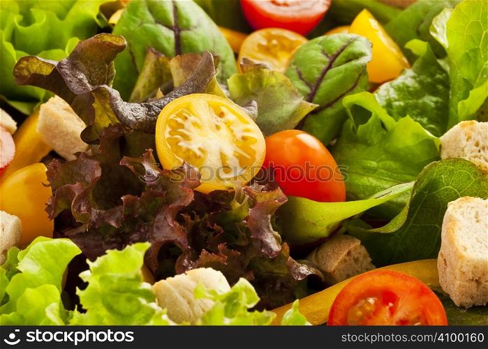 Green salad with lettuce, tomatoes and bread