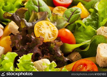 Green salad with lettuce, tomatoes and bread