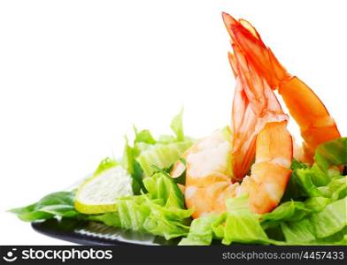 Green salad with shrimps, border isolated on white background, healthy eating concept