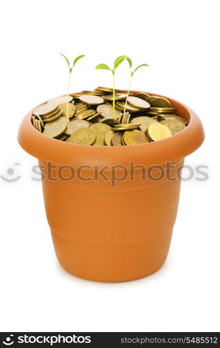 Green seedling growing from the pile of coins