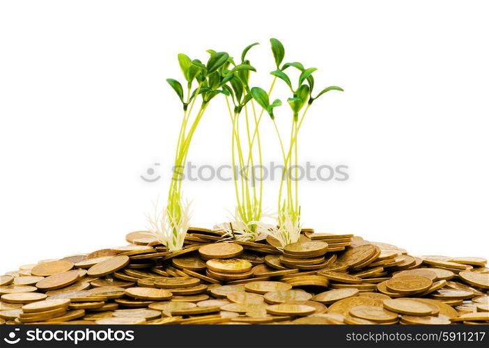 Green seedling growing from the pile of coins
