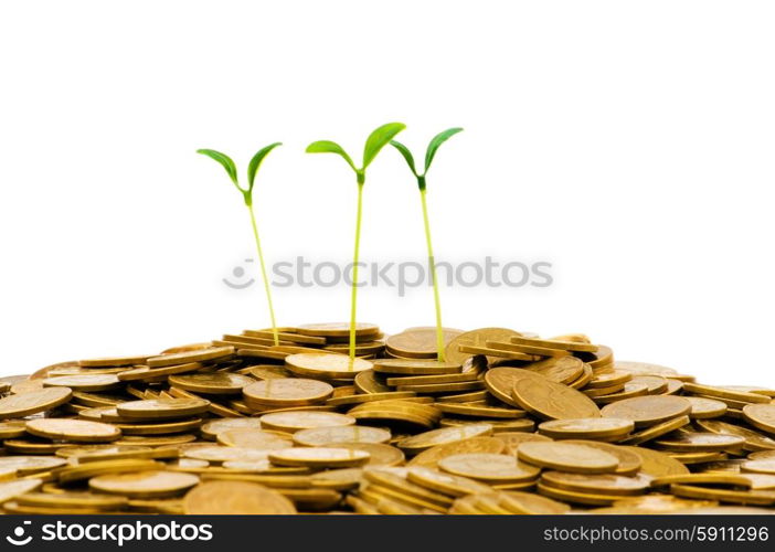 Green seedling growing from the pile of coins