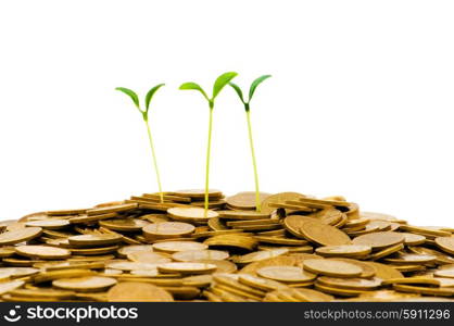 Green seedling growing from the pile of coins