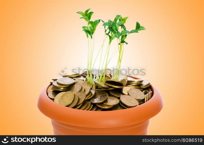 Green seedling growing from the pile of coins