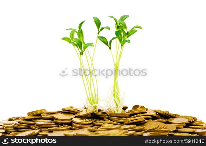 Green seedlings growing from the pile of coins