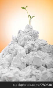 Green seedlings growing out of paper