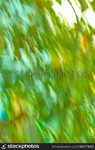 Green shiny blur defocused background with colorful blur. Green abstract bokeh circular background.. Green background with colorful blur. Green abstract blurred out of focus shine background.