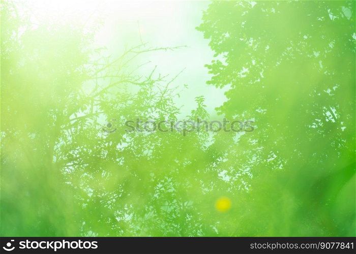 Green shiny blur defocused background with colorful blur. Green abstract bokeh circular background.. Green background with colorful blur. Green abstract blurred out of focus shine background.
