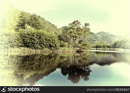 Green Shore of Lake in the French Alps, Retro Image Filtered Style