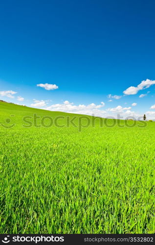 Green Sloping Meadows of Tuscany