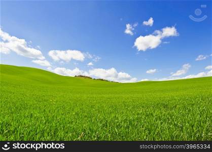 Green Sloping Meadows of Tuscany