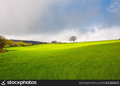 Green Sloping Meadows of Tuscany