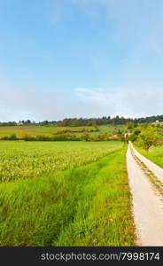 Green Sloping Meadows of Tuscany