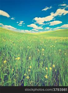 Green Sloping Meadows of Tuscany, Retro Effect