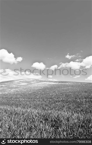 Green Sloping Meadows of Tuscany, Retro Image Filtered Style