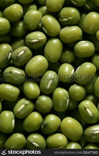 Green soya beans macro texture crop background detail