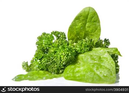 green spinach isolated on white