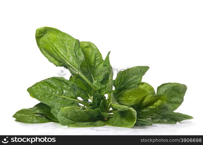 green spinach isolated on white