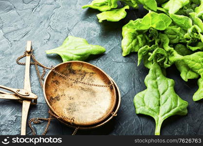 Green spinach leaf and kitchen scales on blue slate background. Fresh spinach leaves