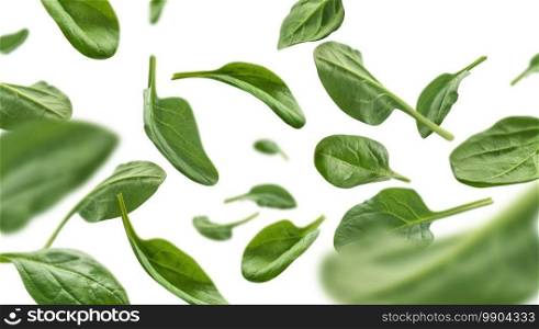 Green spinach leaves levitate on a white background.. Green spinach leaves levitate on a white background