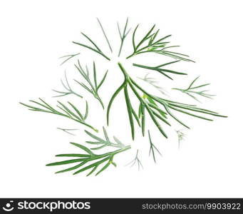 Green sprigs of dill levitate on a white background.. Green sprigs of dill levitate on a white background