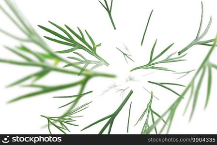 Green sprigs of dill levitate on a white background.. Green sprigs of dill levitate on a white background