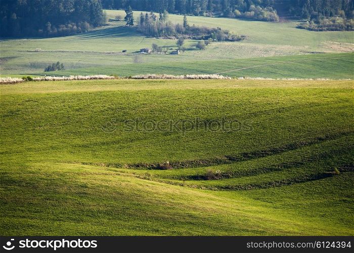 Green spring hills in Slovakia. April sunny hill countryside