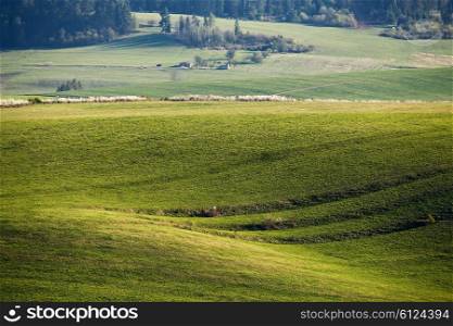 Green spring hills in Slovakia. April sunny hill countryside