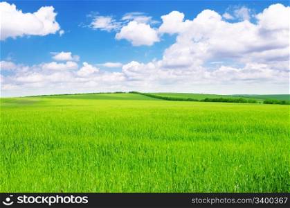Green spring meadow and the beautiful blue sky