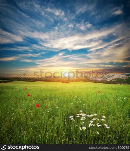 Green spring meadow. Nature lanscape composition.