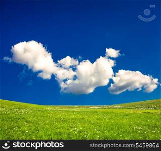 Green spring meadows in the mountains and blue sky